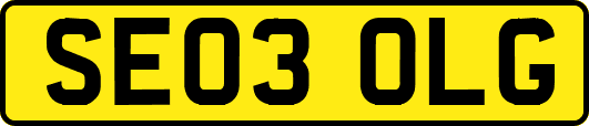 SE03OLG