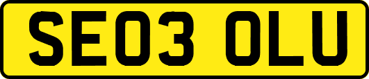 SE03OLU