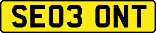 SE03ONT