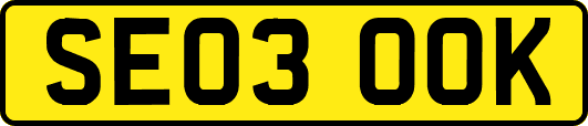 SE03OOK