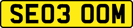 SE03OOM