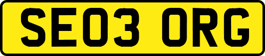 SE03ORG
