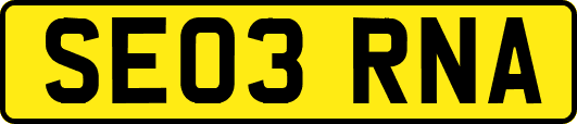 SE03RNA