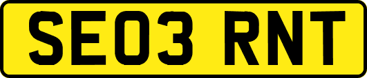 SE03RNT
