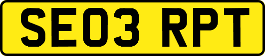SE03RPT
