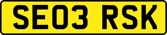 SE03RSK