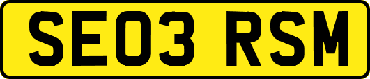 SE03RSM