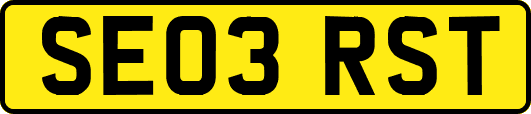 SE03RST