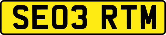 SE03RTM