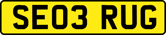 SE03RUG