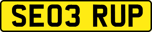 SE03RUP
