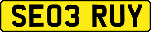 SE03RUY