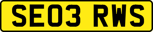 SE03RWS