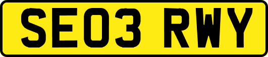 SE03RWY