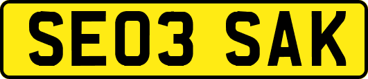 SE03SAK