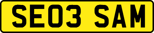 SE03SAM
