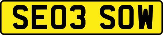 SE03SOW