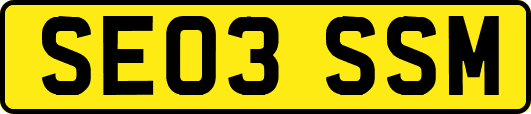SE03SSM