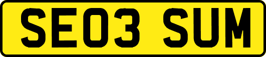 SE03SUM