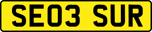 SE03SUR