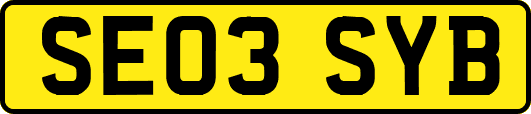 SE03SYB