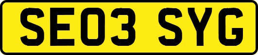 SE03SYG