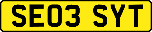 SE03SYT