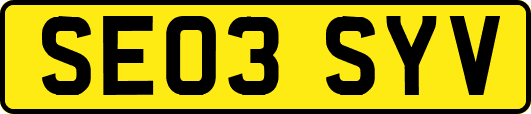 SE03SYV
