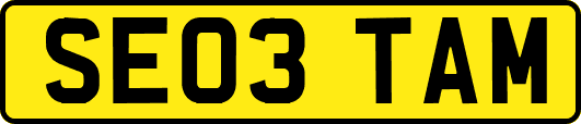 SE03TAM