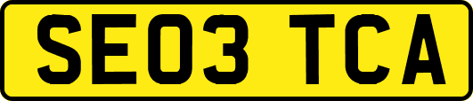 SE03TCA
