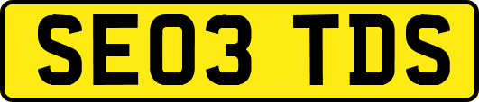SE03TDS
