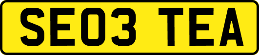 SE03TEA