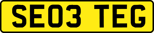 SE03TEG