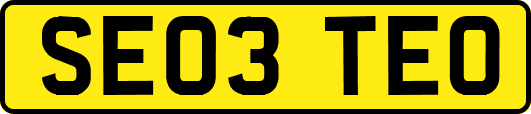 SE03TEO