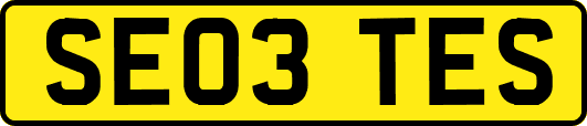 SE03TES