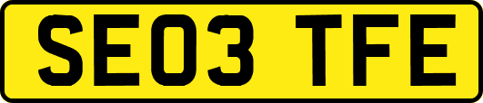 SE03TFE