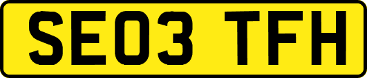 SE03TFH