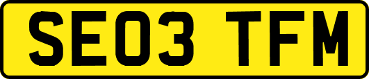SE03TFM