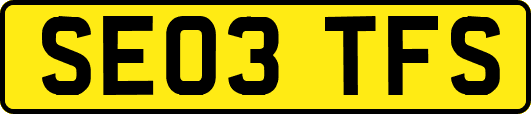 SE03TFS