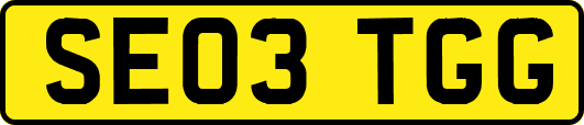 SE03TGG