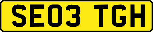 SE03TGH