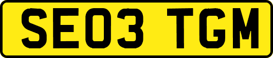 SE03TGM