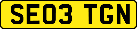 SE03TGN