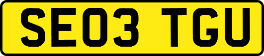 SE03TGU