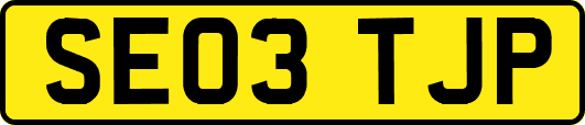 SE03TJP