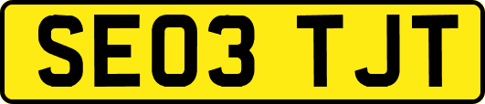 SE03TJT