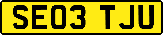 SE03TJU
