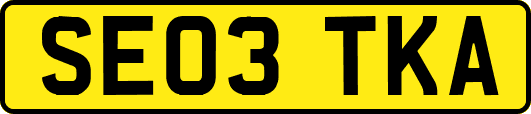 SE03TKA