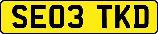 SE03TKD