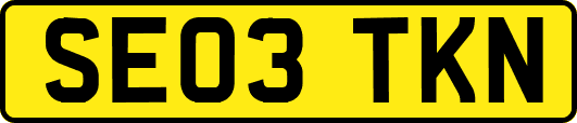 SE03TKN